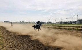 Mastering Horse Riding Commentary: Unveiling the Art of Engaging Narration