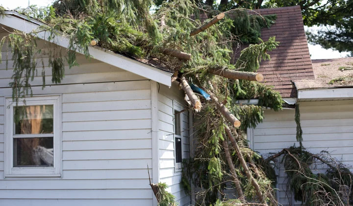 What to Do if Your House Is Starting to Fall Into Ruin