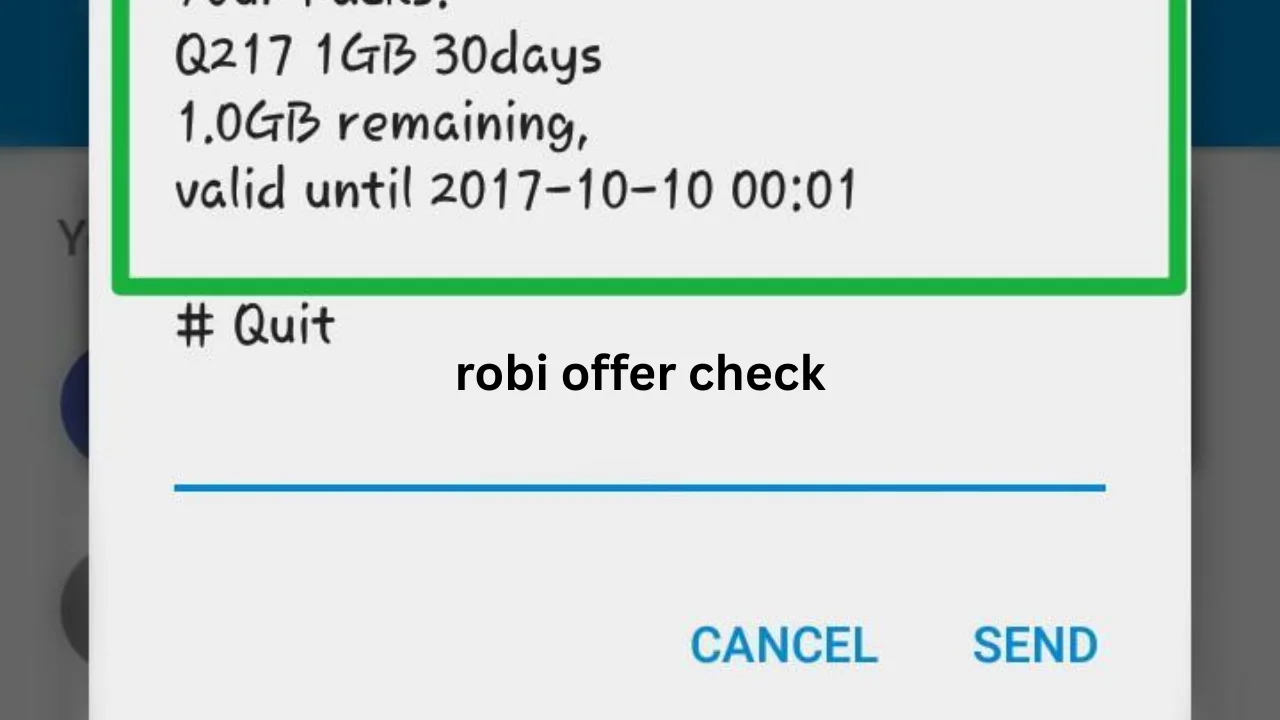What Is Robi Offer Check?